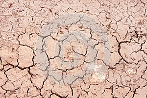 Cracked ground, path, dry soil. Ecology concept. Cracked earth texture and background.