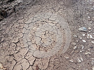 Cracked ground, path, dry soil. Ecology concept. Cracked earth texture and background. Dry field, water, land, sand.