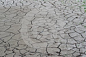 Cracked ground, soil salinity, ecological disaster