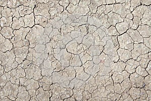 Cracked ground surface.