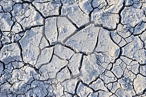 Cracked ground texture