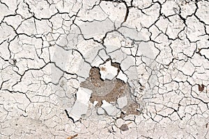 Cracked ground textured. White dried and cracks ground earth background