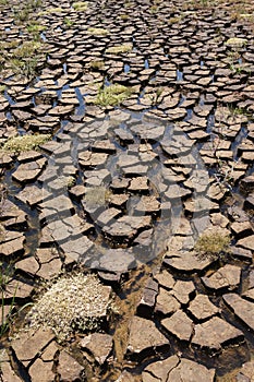 Cracked ground with water of an empty dam