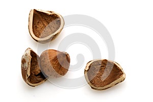 Cracked hazelnut