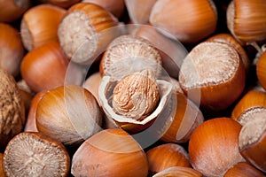 Cracked hazelnut, closeup