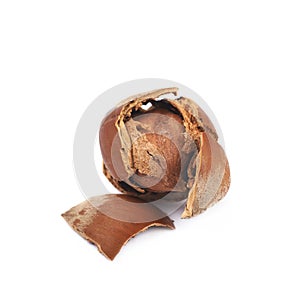 Cracked hazelnut isolated