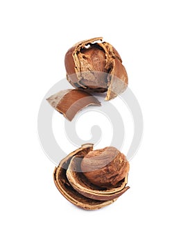 Cracked hazelnut isolated