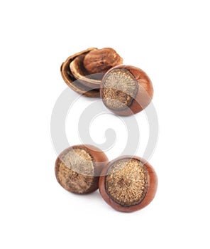 Cracked hazelnut isolated