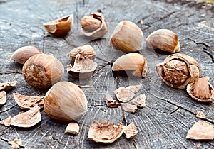 cracked hazelnuts with shells on a wood background