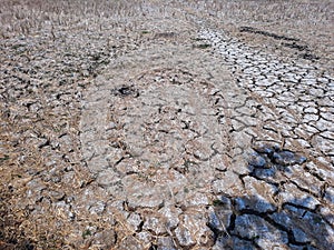 Cracked Land, Dried cracked earth soil ground texture background