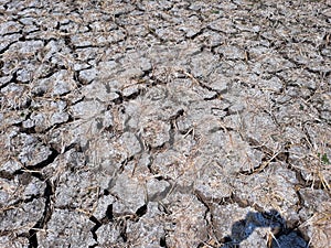 Cracked Land, Dried cracked earth soil ground texture background