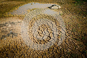 Cracked land and dried pond background