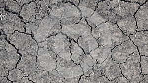 Cracked land of drought in agriculture