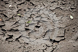 Cracked land, drought desert lack of water