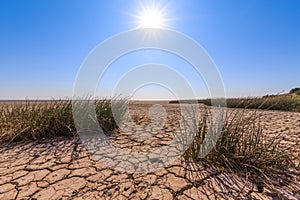 Cracked land, scanty vegetation, blue sky and bright sun as a symbol of drought