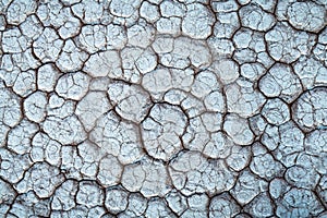 Cracked land texture close up