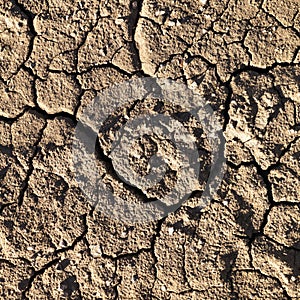 Cracked Mud