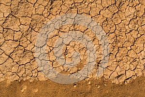 Cracked mud