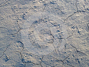 Cracked Mud on Bottom of Receded River.