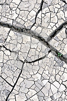 Cracked Mud Earth Drought Background Macro