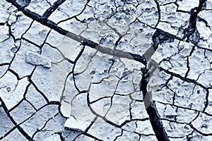 Cracked Mud Earth Drought Background Macro