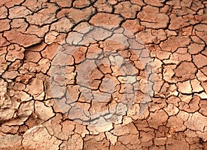 Cracked mud ground
