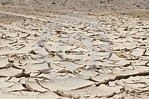 Cracked mud ground in desert, with green plants, bright sun hot summer