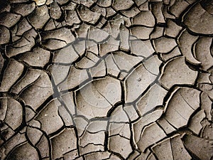 Cracked mud texture near Work place