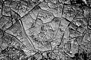 Cracked natural soil background in black and white