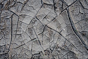 Cracked natural soil background. Dry soil in global warming