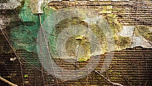 Cracked old brick and concrete wall covered with moss and tree t