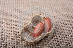 Cracked open peanut with shell on a linen canvas