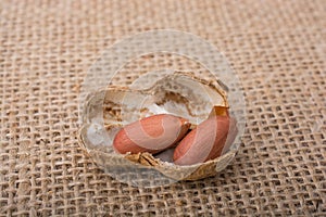 Cracked open peanut with shell on a linen canvas