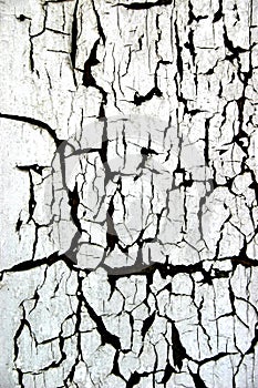 Cracked paint