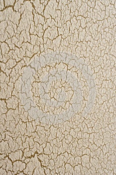 Cracked paint texture