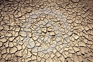 Cracked and parched earth in a lake bed