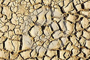 Cracked and parched earth in a lake bed