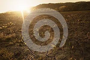 Cracked, parched land after a long dry season