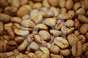 Cracked Pectin Layer of Dry Arabica Typica Kopi Lintong Beans