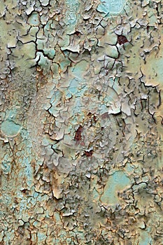 Cracked and peeled paint on the iron surface