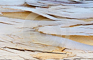Cracked and peeling tree bark texture