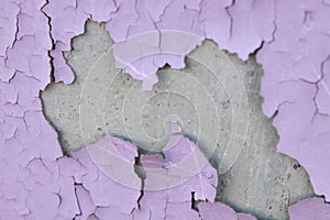 Cracked purple oil paint on aged metal surface. Cool grunge crackle texture. Fractured pattern. Peeling paint on the