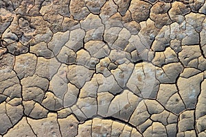 Cracked red clay and white salt on the surface in a dried riverbed in the desert of New Mexico, USA