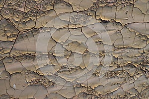 Cracked red clay and white salt on the surface in a dried riverbed in the desert of New Mexico, USA