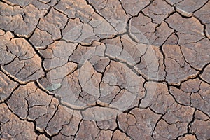 Cracked red clay and white salt on the surface in a dried riverbed in the desert of New Mexico, USA