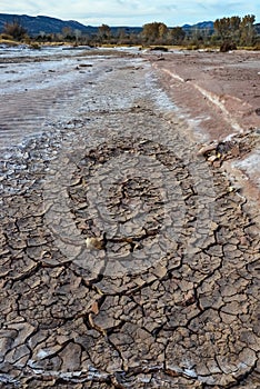 Cracked red clay and white salt on the surface in a dried riverbed in the desert of New Mexico, USA