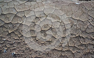 Cracked red clay and white salt on the surface in a dried riverbed in the desert of New Mexico, USA