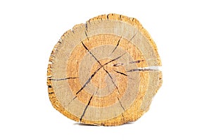 Cracked ring of a wooden log. Close-up on a white background