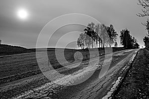 Cracked road ahead (HDR B&W)