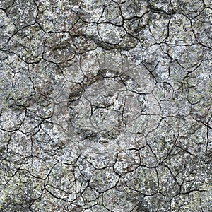 Cracked rock seamless texture